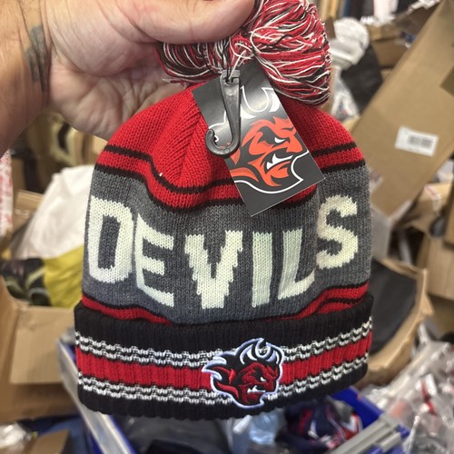 Cardiff devils ice hockey - ice,