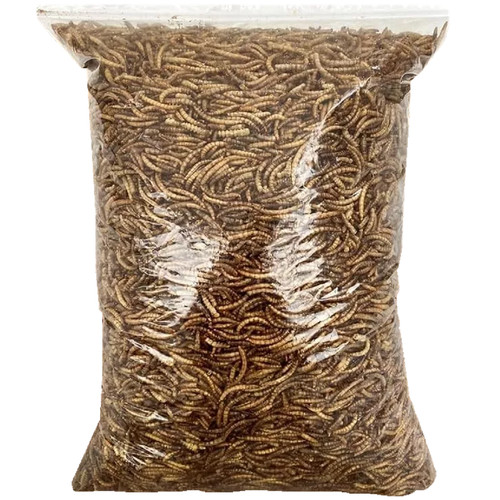 Dried mealworms 50g - dried, 500g