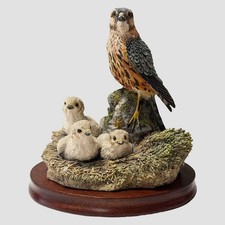 Merlin And Chicks Border Fine