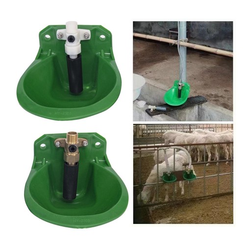 Automatic sheep water - sheep, bowl