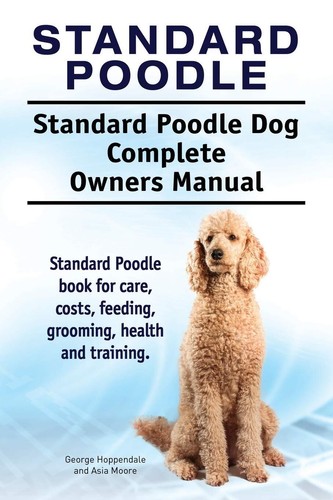 Standard poodle - standard, poodle.