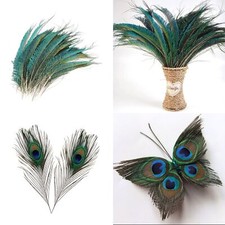 25-30cm Long Natural Peacock