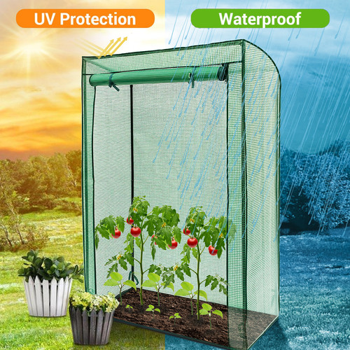 Outdoor garden tomato plant - garden,