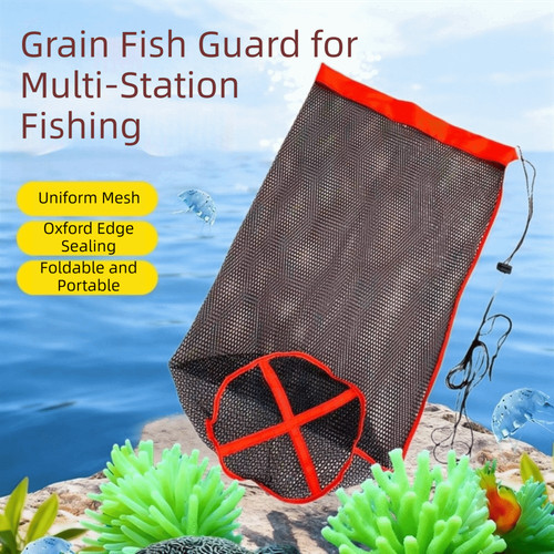 Collapsible live fish - live, net