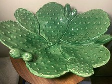 Virginia Casa Cactus Display