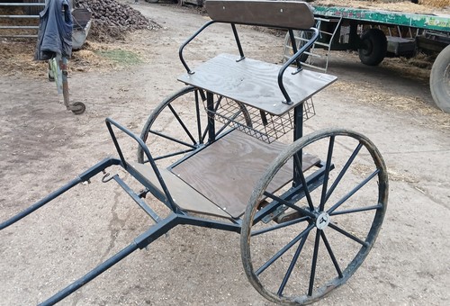 Bellcrown bell crown pony - crown,