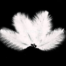 5/10pcs Natural Ostrich