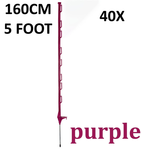 5ft electric - x,