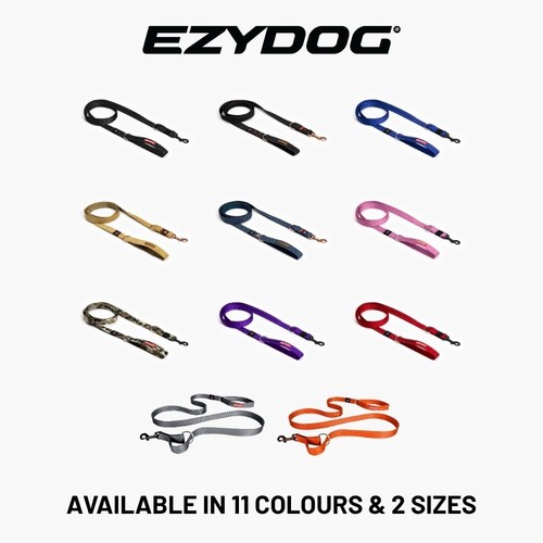 Multifunctional dog lead - dog,