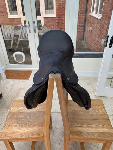 Used harry dabbs - used,