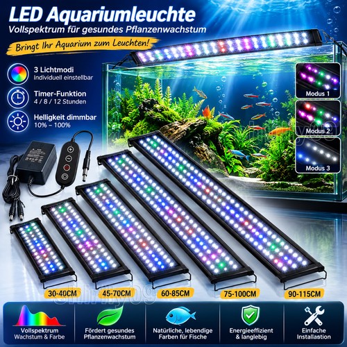 Aquarium fish tank - fish,