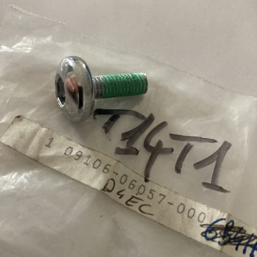 Suzuki 09106 06057 screw 6x18 - screw,