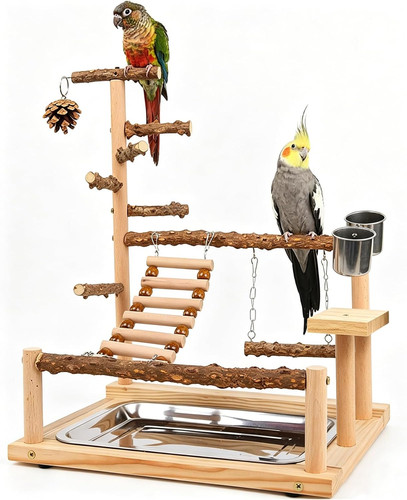 Bird playground parrot play - bird,