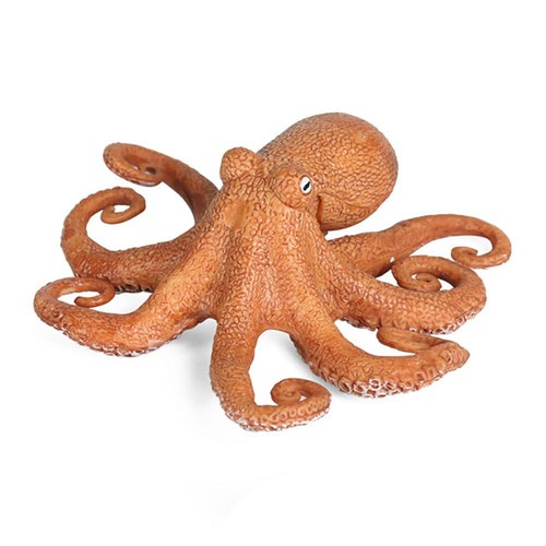 Realistic ocean octopus model - realistic,