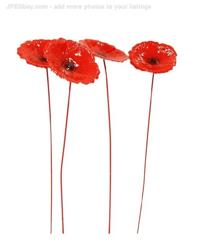 Set primus metal red - set,