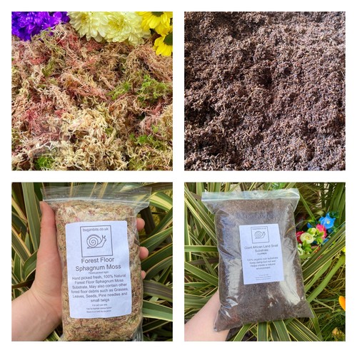 Sphagnum moss coco coir - sphagnum,