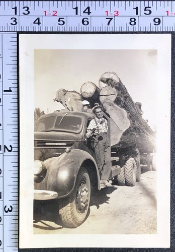 Occupational lumber logging - lumber,