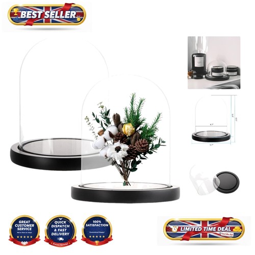 Stylish glass cloche set - cloche, with
