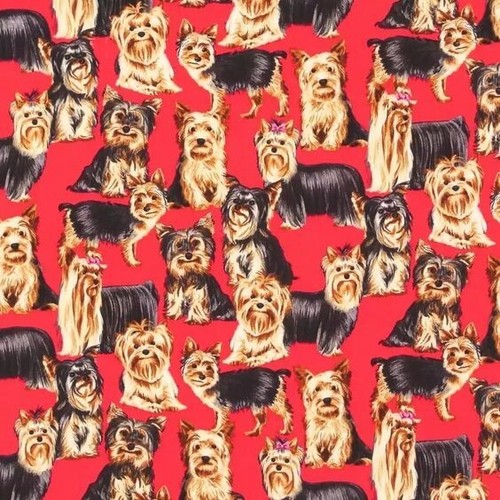 Fat quarter yorkshire terrier - fat,