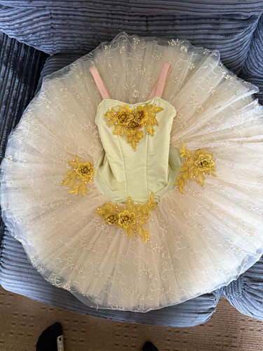 Girls ballet pancake tutu - ballet,