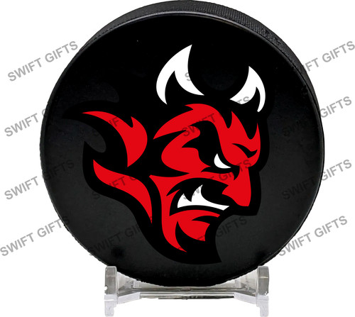 Cardiff devils ice - cardiff, hockey