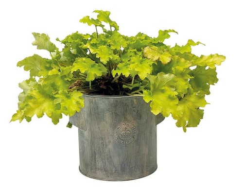 Round zinc grey tub bucket - grey,