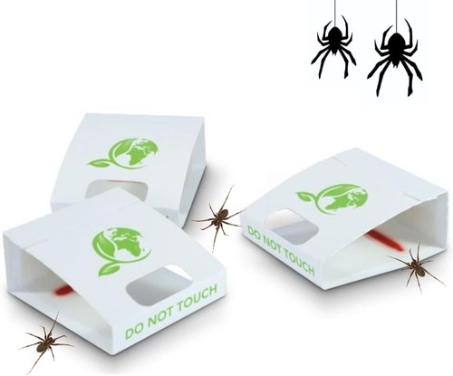 Spider trap crawling - spider,