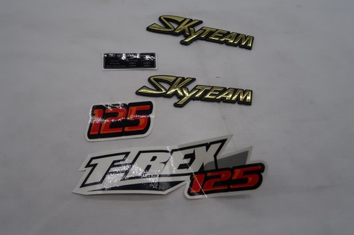 Skyteam rex 125 - skyteam,