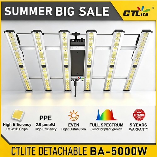 Spider 5000w commercial - spider,