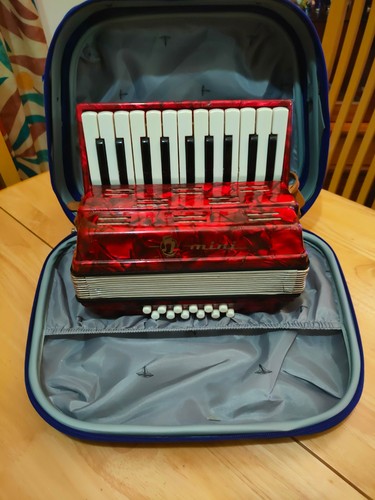 Kids accordion mini - mini, 22