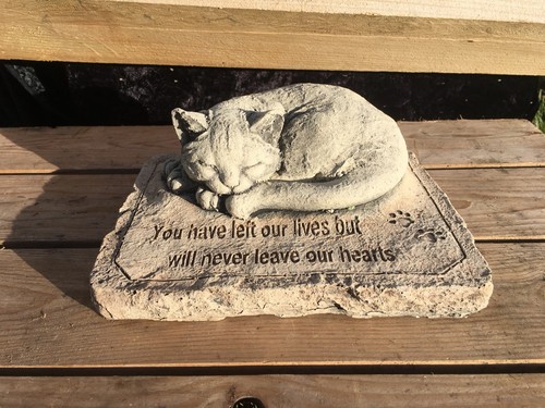 Cat memorial verse - cat,