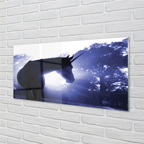 Tulup acrylic glass 140x70 - glass,