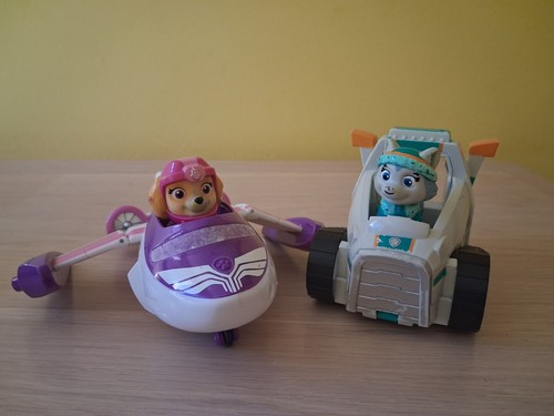 Paw patrol skye everest - paw,