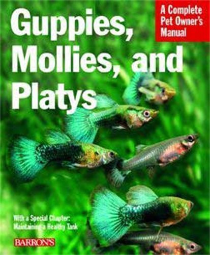 Guppies mollies and platys - and,