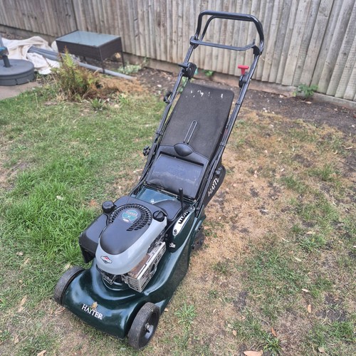 Hayter harrier petrol - hayter,