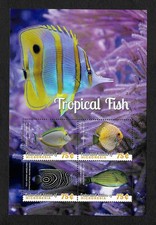 Micronesia: Tropical Fish