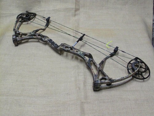 Bear archery method compound - bear,