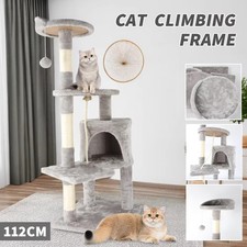 Cat Tree House Cat Climbing