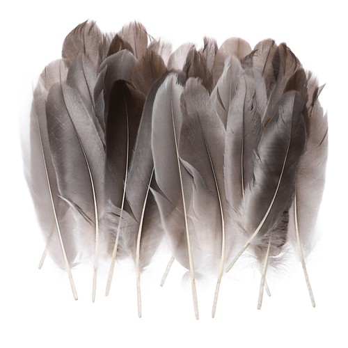 Natural goose feathers - natural,