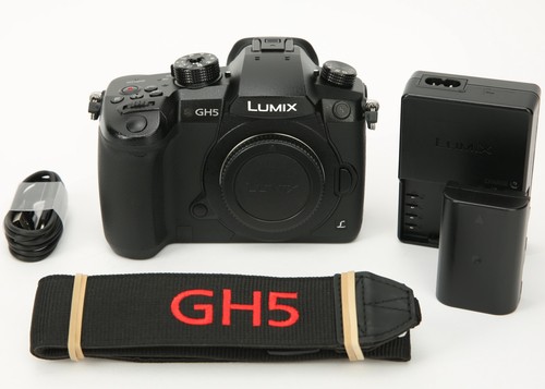 Panasonic lumix gh5 mirrorless - panasonic,
