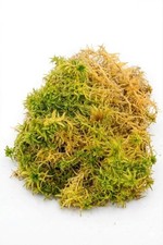 Sphagnum Moss 100% Organic