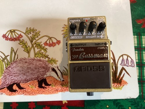 Boss fbm bassman - '59,