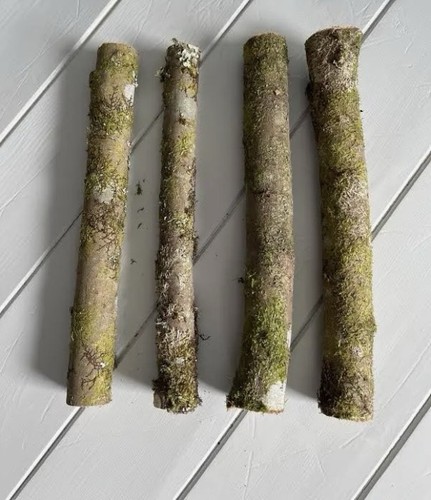 Natural willow wood sticks for - natural,