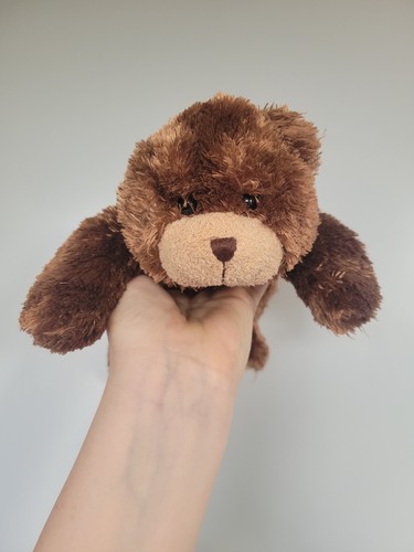 Bhs bear teddy hottie - teddy,