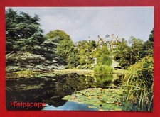 Postcard Unused The Lily