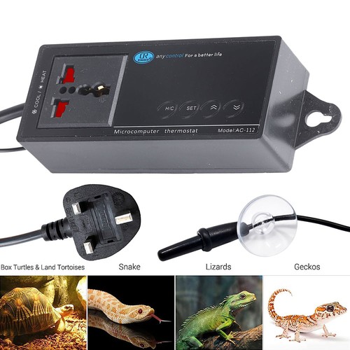 Digital reptile aquarium - digital,