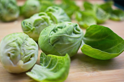 Brussels sprouts plug plants - plug,