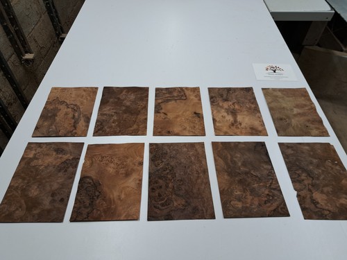 Wood veneer sample - sample, pack