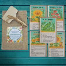 Young Gardener Kids Seed Set
