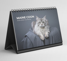 Maine Coon Desk Calendar 2026-2027: Standing Flip Desktop Calendar